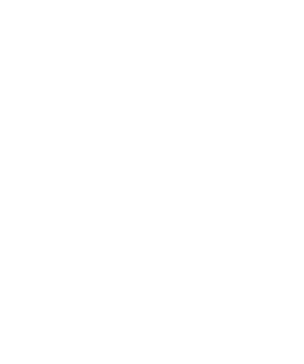 BRP Logo New Branding